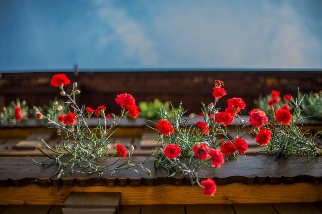 Garni Stuebele Bed & Breakfast Tirolo Exterior photo
